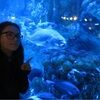 sofia_beswick